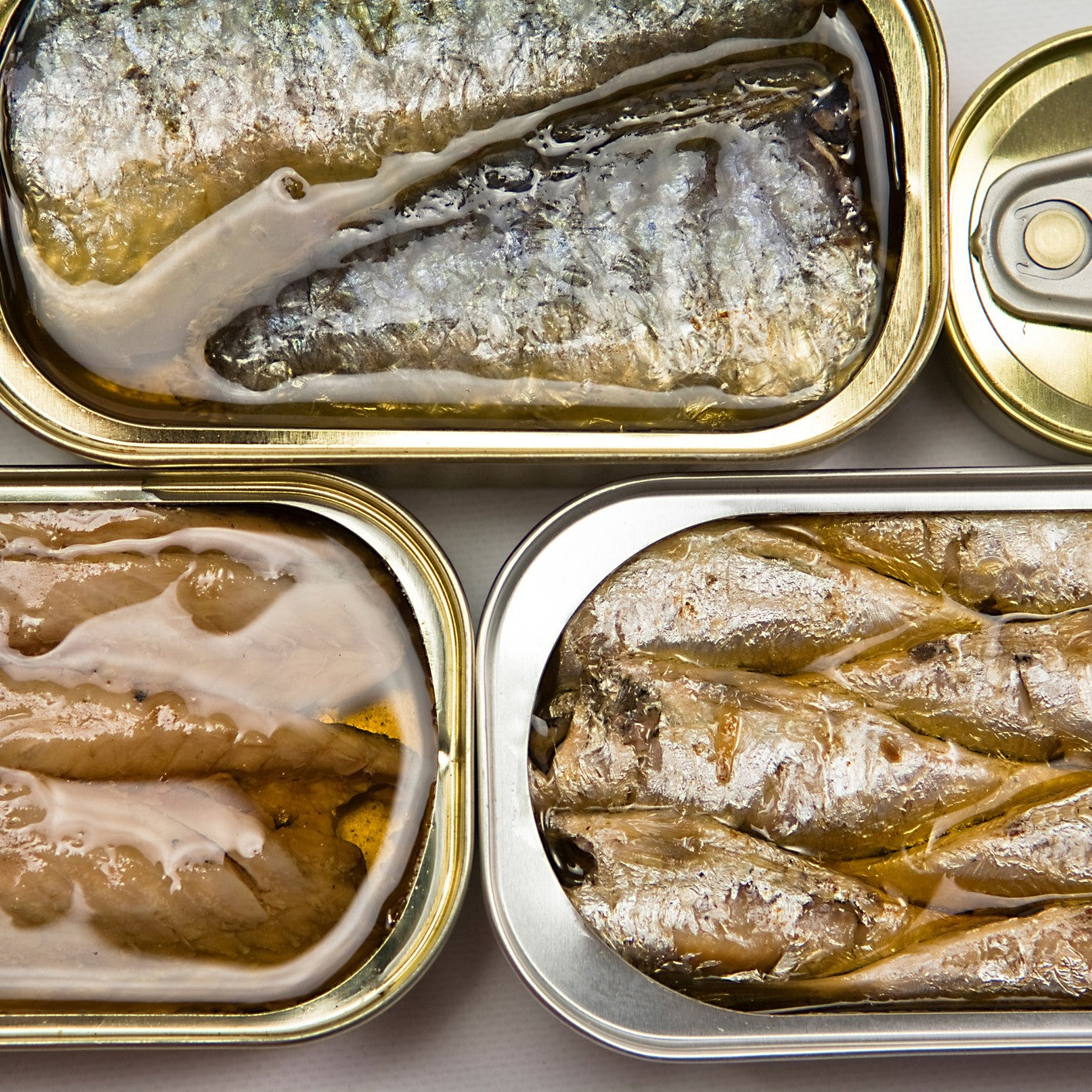 Open tins of sardines in oil, an example of canned fish