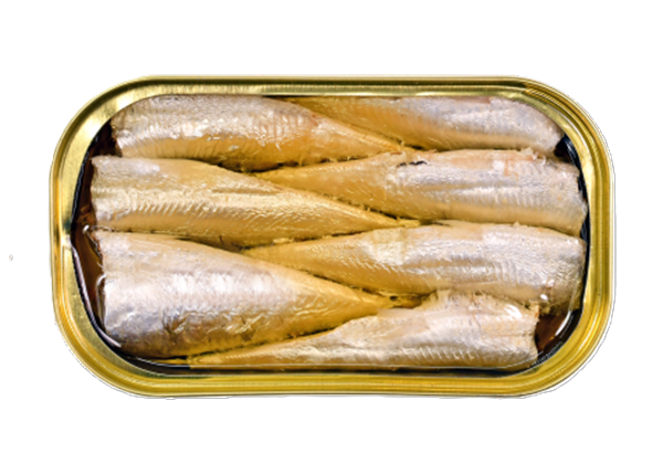 Petites sardines à l'huile d'olive (Petingas) | Boîte ouverte Minerva Classic